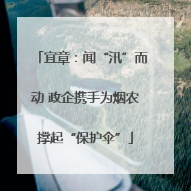 宜章：闻“汛”而动 政企携手为烟农撑起“保护伞”